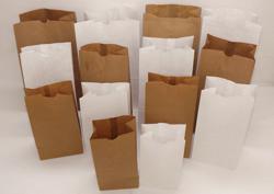 Cougar® Paper Grocery Bag White, 4 lb Capacity